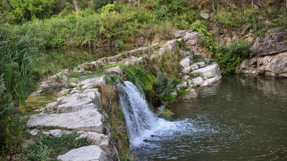 11.9.2019 Peixera del Gaià  Santa Perpètua de Gaià -  Ramon Sunyer