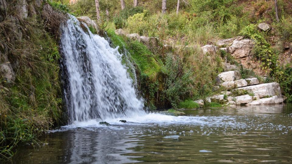 11.9.2019 Peixera al riu Gaià  Santa Perpètua de Gaià -  Ramon Sunyer