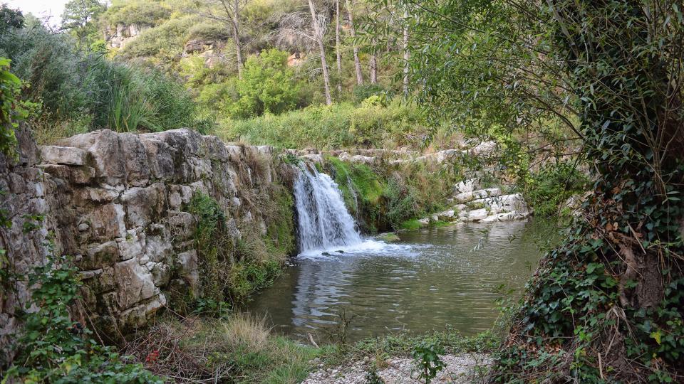 11.9.2019 Peixera del Gaià  Santa Perpètua de Gaià -  Ramon Sunyer