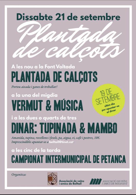   Plantada de calçots a Passanant