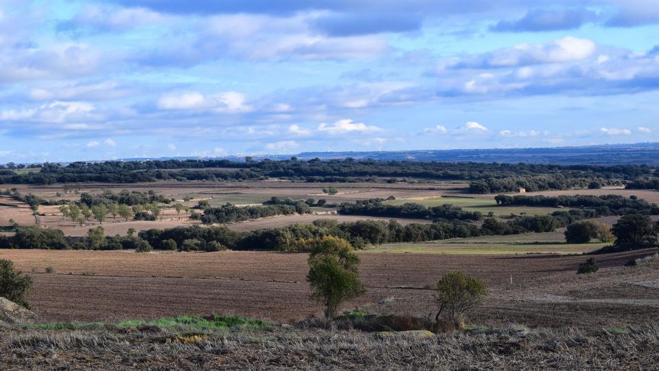 17.11.2019 Paisatge  Les Pallargues -  Ramon Sunyer