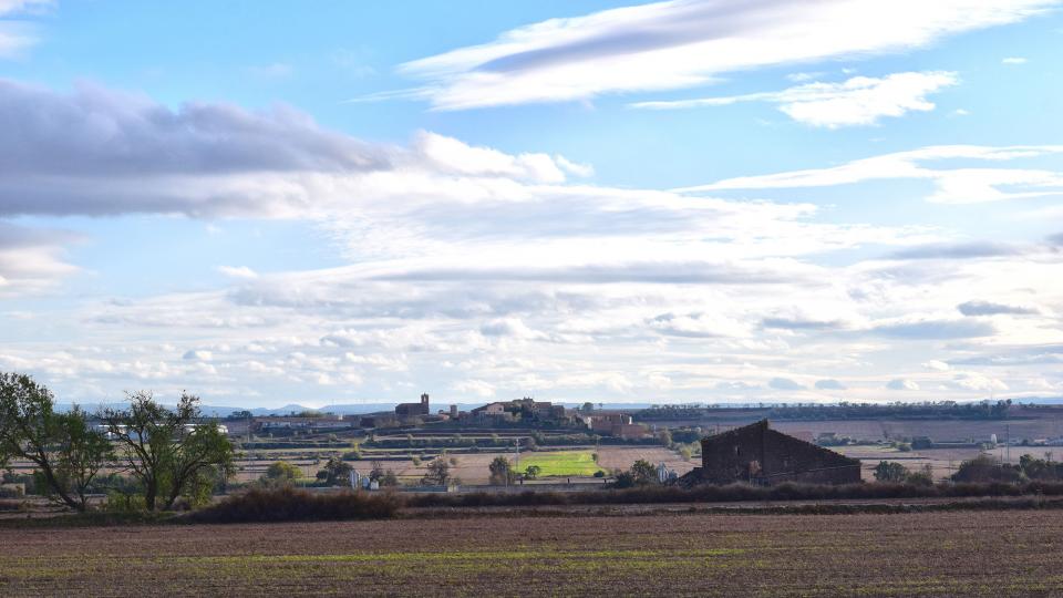 17.11.2019 Vista de Pelagalls  Les Pallargues -  Ramon Sunyer