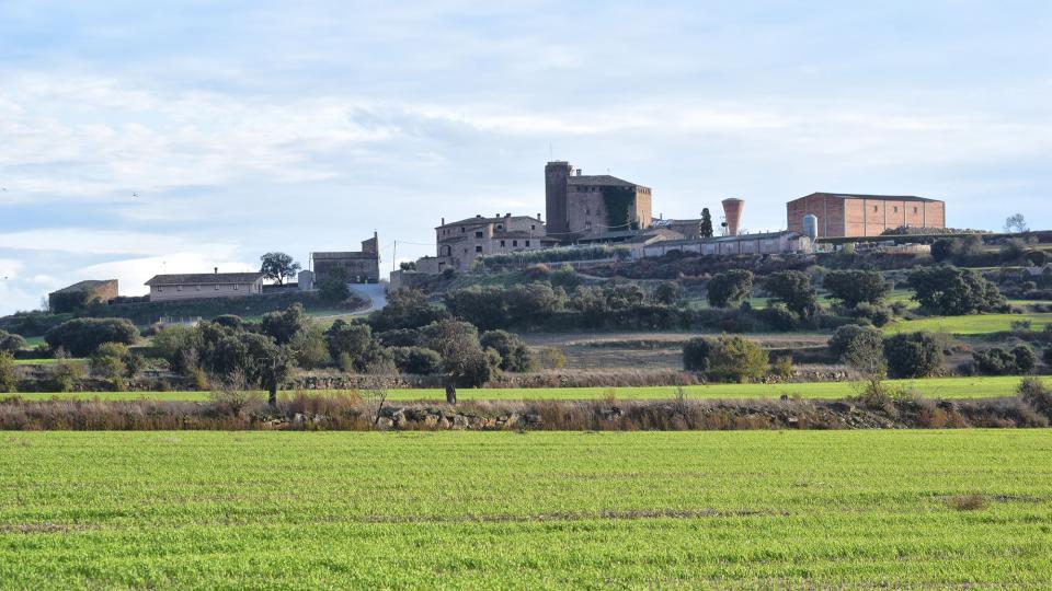 17.11.2019   L'Aranyó -  Ramon Sunyer