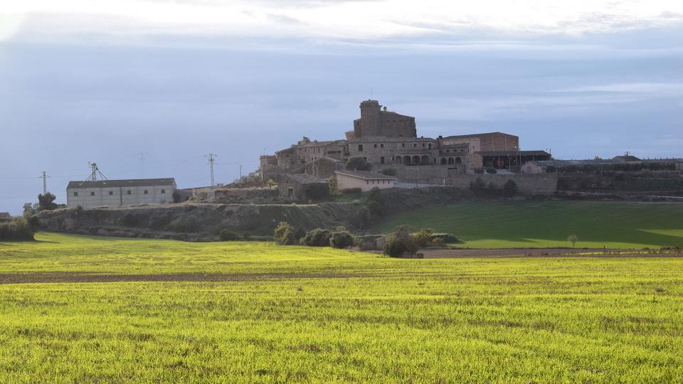 17.11.2019   L'Aranyó -  Ramon Sunyer