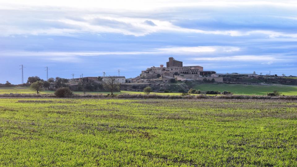 17 de Novembre de 2019 Paisatge  L'Aranyó -  Ramon Sunyer