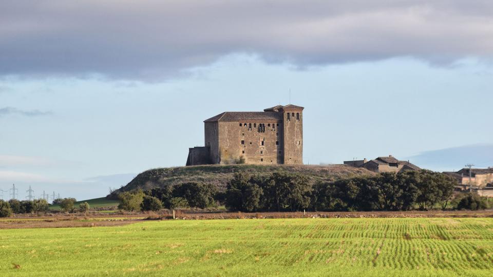 17 de Novembre de 2019   Montcortès de Segarra -  Ramon Sunyer