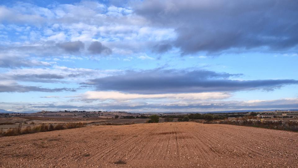 17 de Novembre de 2019 Paisatge  Concabella -  Ramon Sunyer