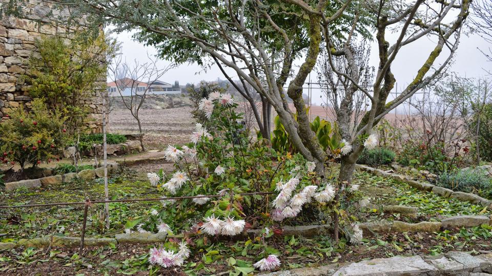6.12.2019 La Fortesa - Ramon Sunyer