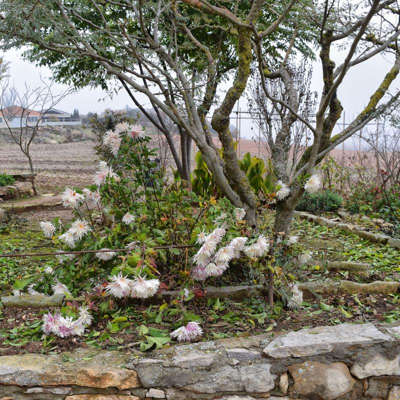 6.12.2019 La Fortesa - Ramon Sunyer