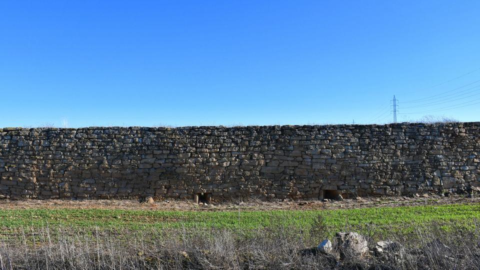 15.12.2019 Pletes  Mont-roig -  Ramon Sunyer