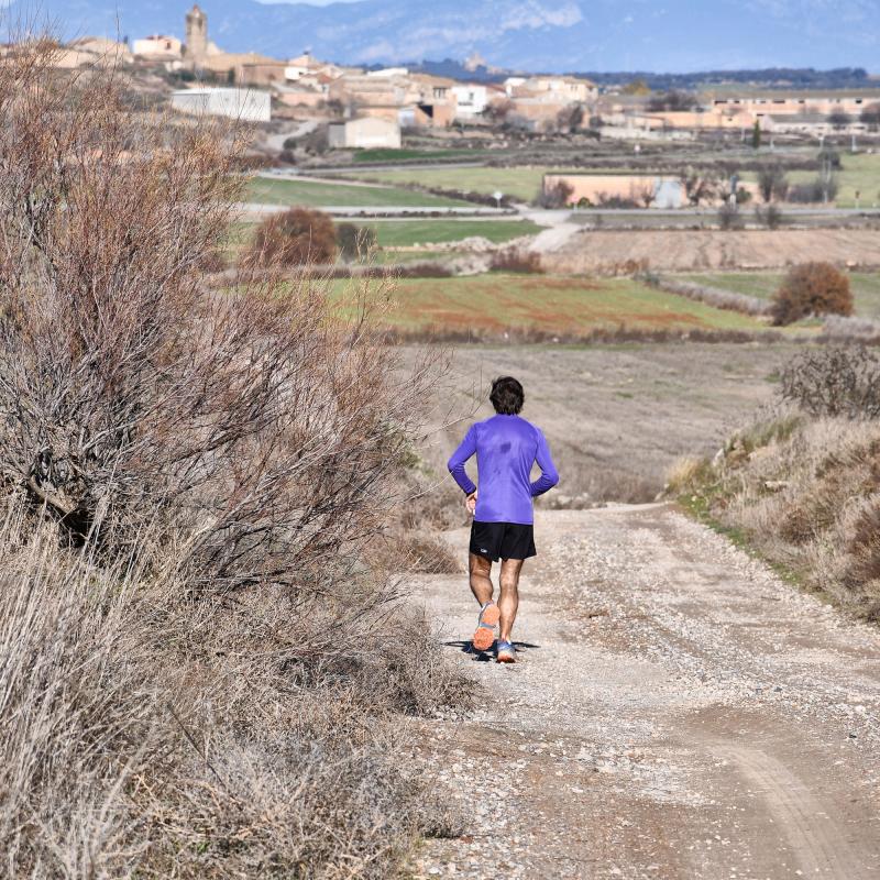 15.12.2019 Paisatge  Mont-roig -  Ramon Sunyer