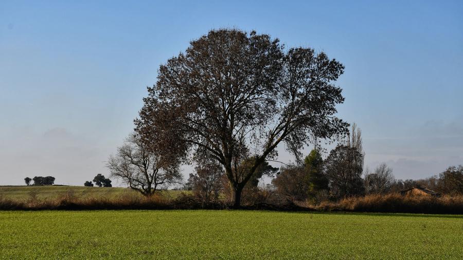Ruta a pie de Torrefeta - Autor Ramon Sunyer (2020)