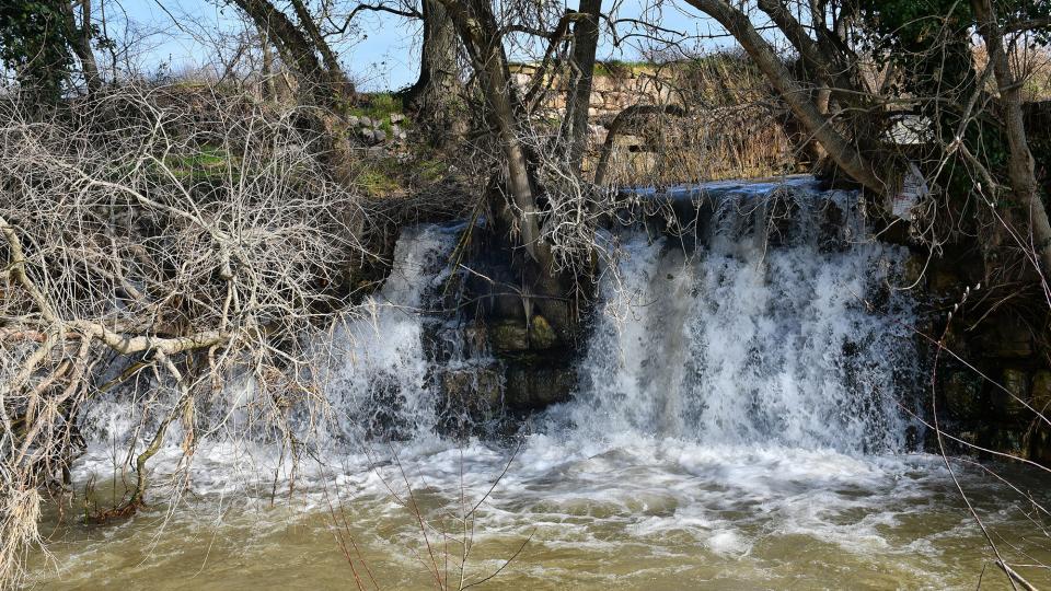 9 de Febrer de 2020 Peixera de Sedó al riu Sió  Sedó -  Ramon Sunyer