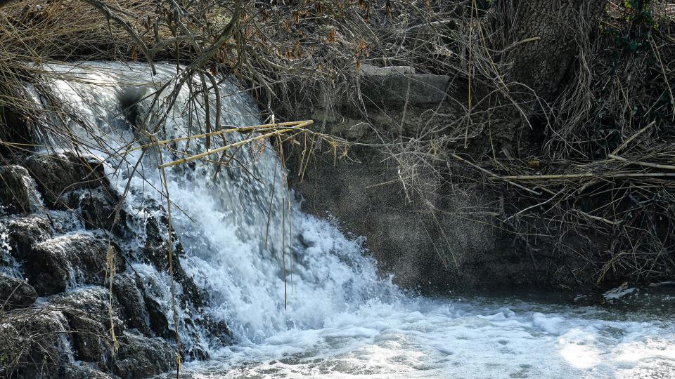 9 de Febrer de 2020 Peixera de la Prenyanosa al riu Sió  La Prenyanosa -  Ramon Sunyer