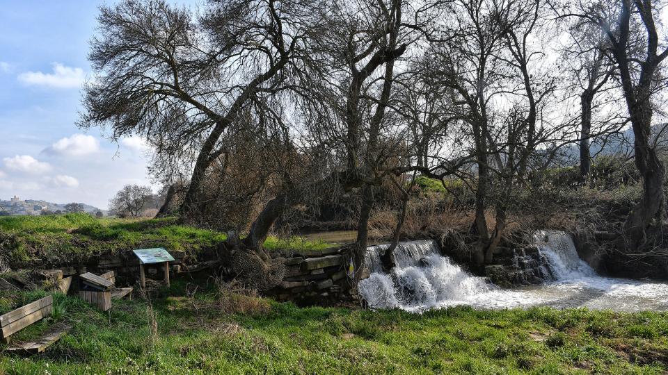 9 de Febrer de 2020 Peixera  La Prenyanosa -  Ramon Sunyer