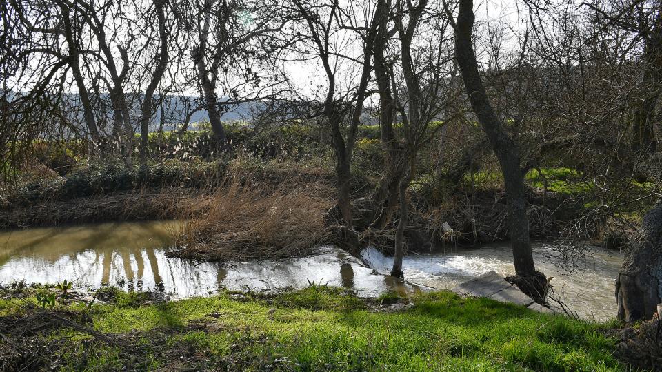 9 de Febrer de 2020 Peixera  La Prenyanosa -  Ramon Sunyer