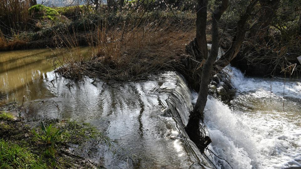 9 de Febrer de 2020 Peixera de la Prenyanosa al riu Sió  La Prenyanosa -  Ramon Sunyer