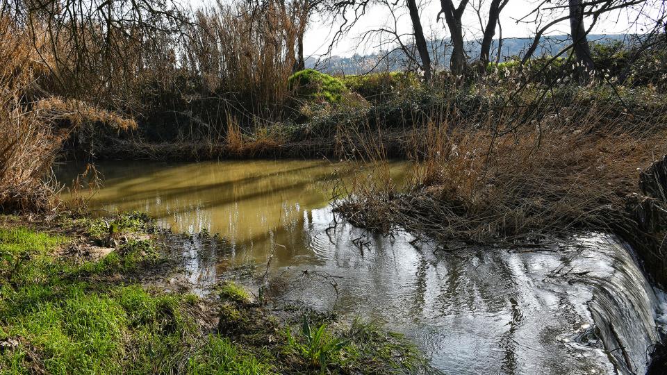 9 de Febrer de 2020 Peixera  La Prenyanosa -  Ramon Sunyer