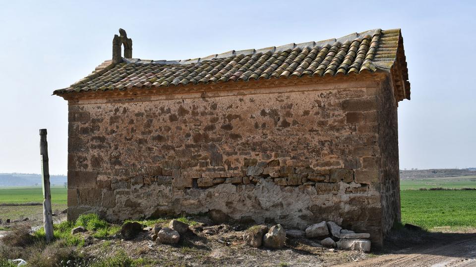 9 de Febrer de 2020 Santa Magdalena de Sió  Les Pallargues -  Ramon Sunyer