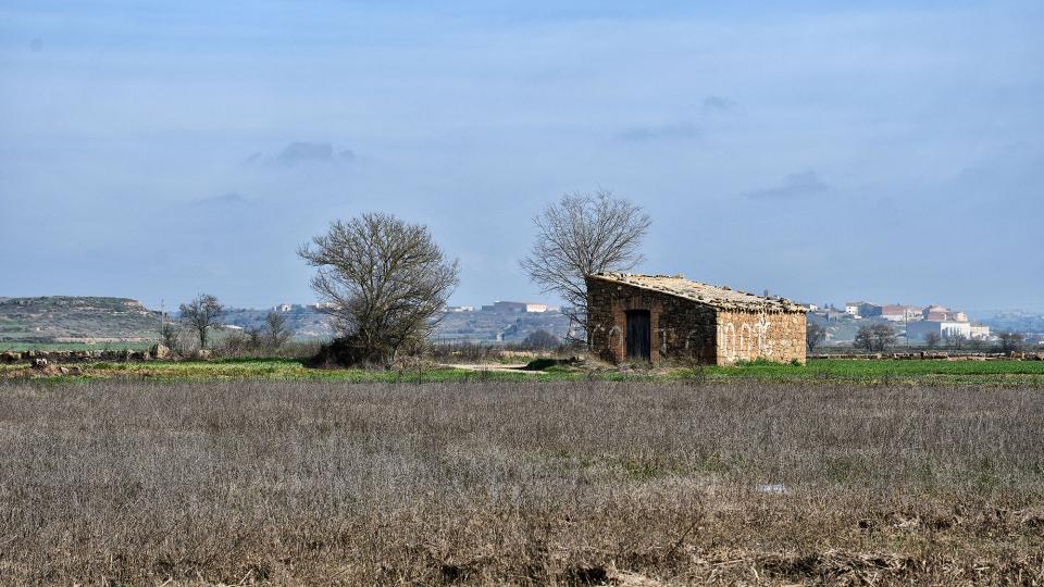 9.2.2020 cabana  Les Pallargues -  Ramon Sunyer