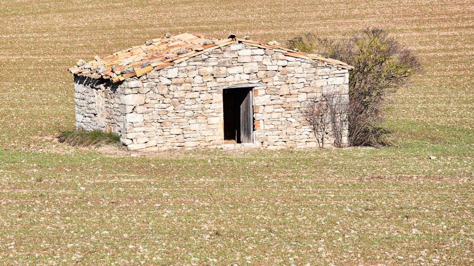 4.1.2020 cabana  Sant Martí Sesgueioles -  Ramon Sunyer