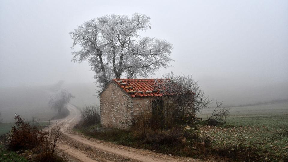 3.1.2020 Gebrada  Ferran -  Ramon Sunyer