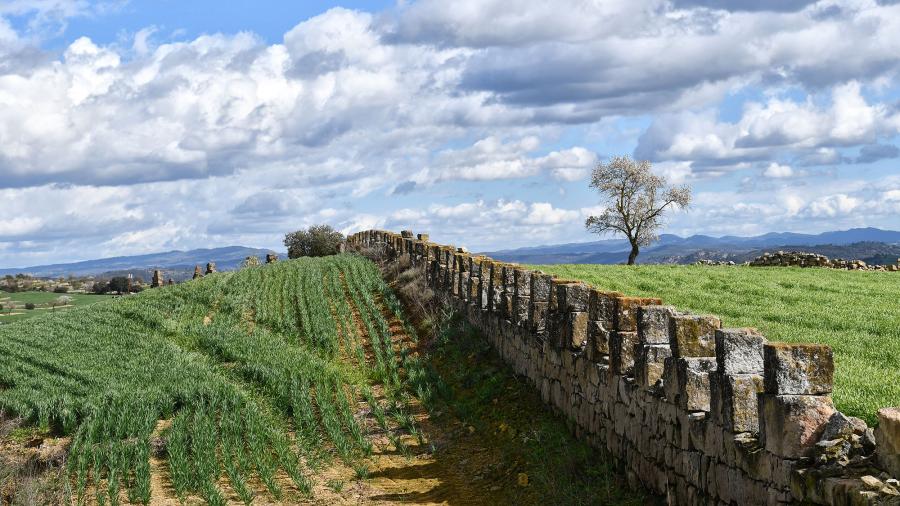Country House of Mas Ramon
