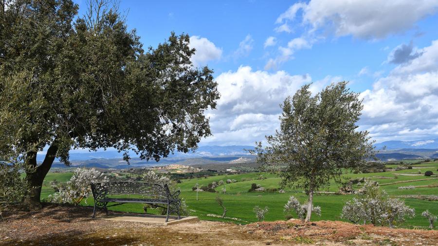 Country House of Mas Ramon