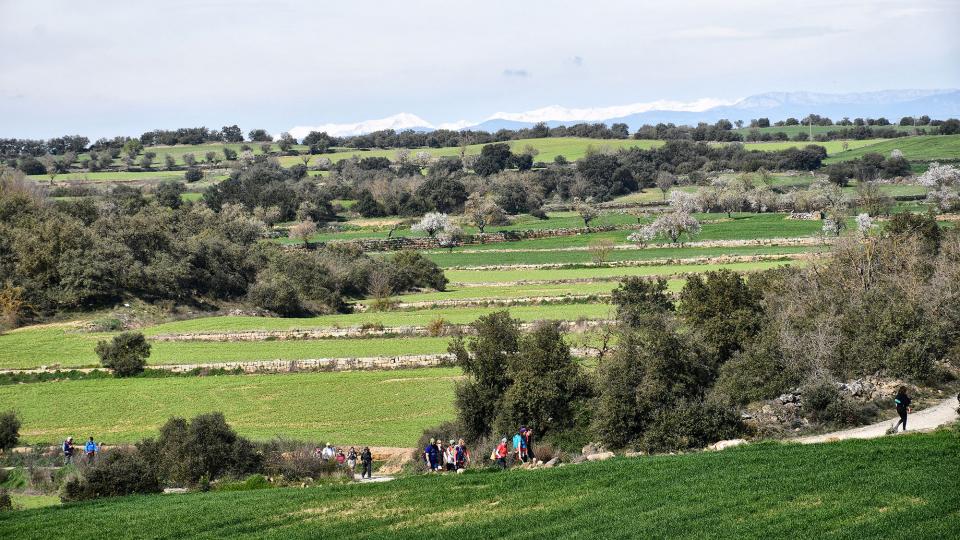 8 de Març de 2020   Florejacs -  Ramon Sunyer