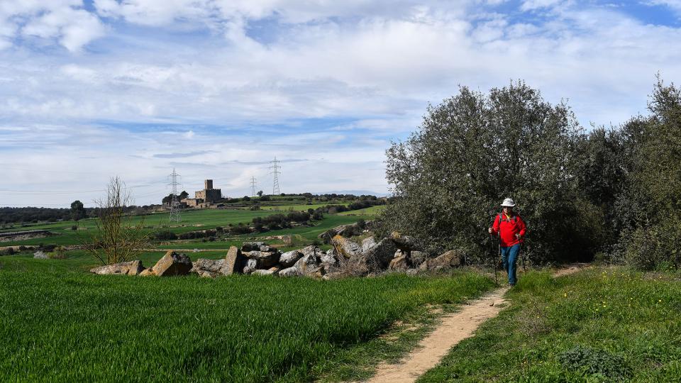 8 de Març de 2020   Florejacs -  Ramon Sunyer