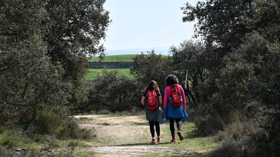 8 de Març de 2020   Florejacs -  Ramon Sunyer