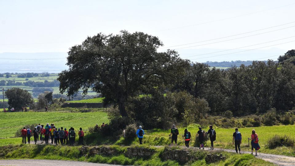 8 de Març de 2020   Florejacs -  Ramon Sunyer