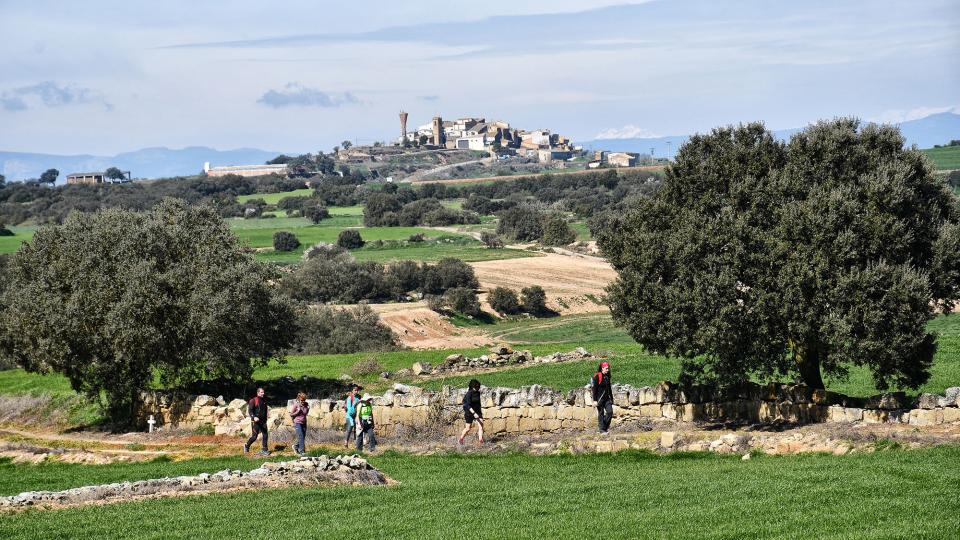 8 de Març de 2020   Palou -  Ramon Sunyer