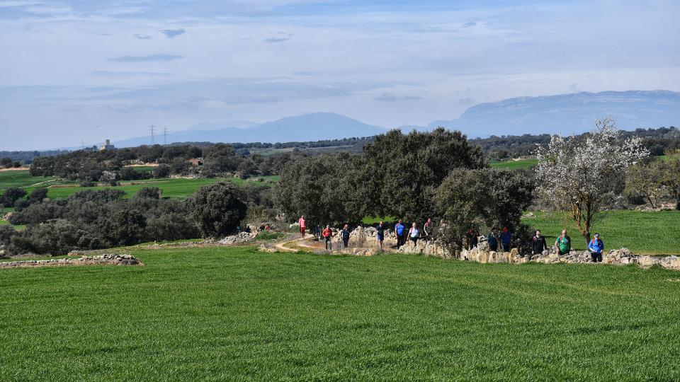 8 de Març de 2020   Palou -  Ramon Sunyer