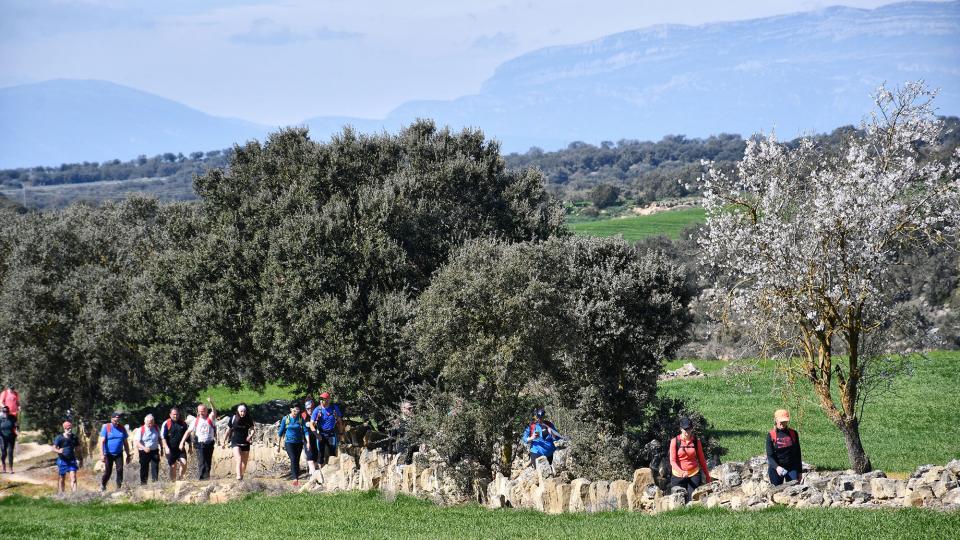 8 de Març de 2020   Palou -  Ramon Sunyer