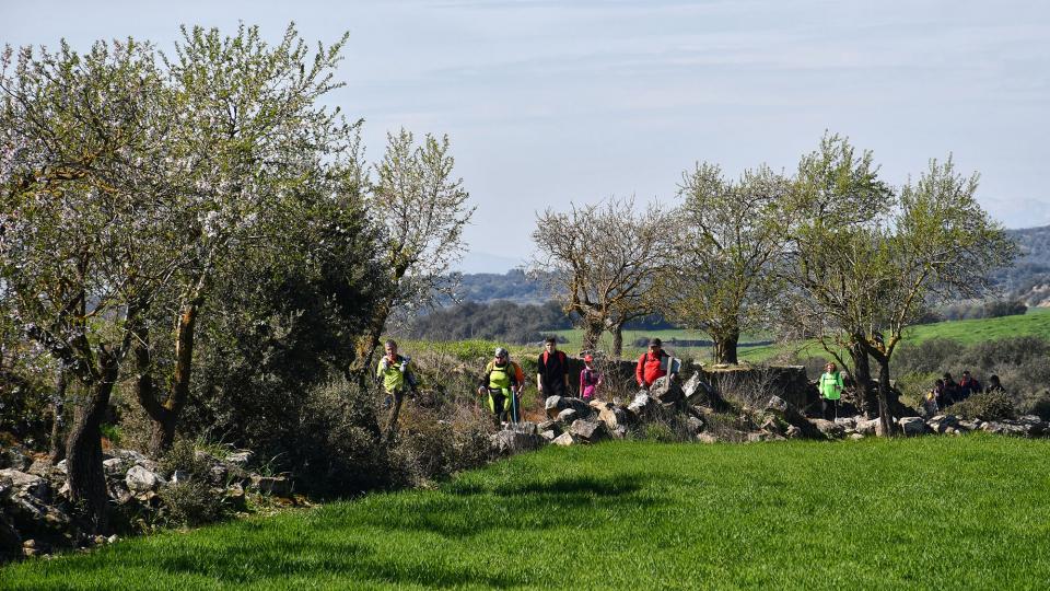 8 de Març de 2020   Palou -  Ramon Sunyer