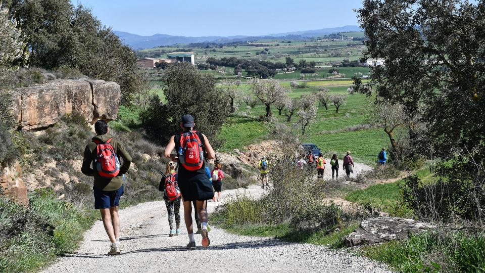 8 de Març de 2020   Guarda-si-venes -  Ramon Sunyer