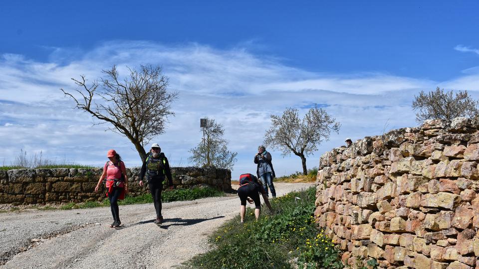 8 de Març de 2020   Guarda-si-venes -  Ramon Sunyer