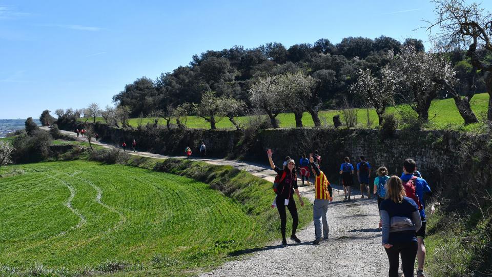 8 de Març de 2020   Guarda-si-venes -  Ramon Sunyer