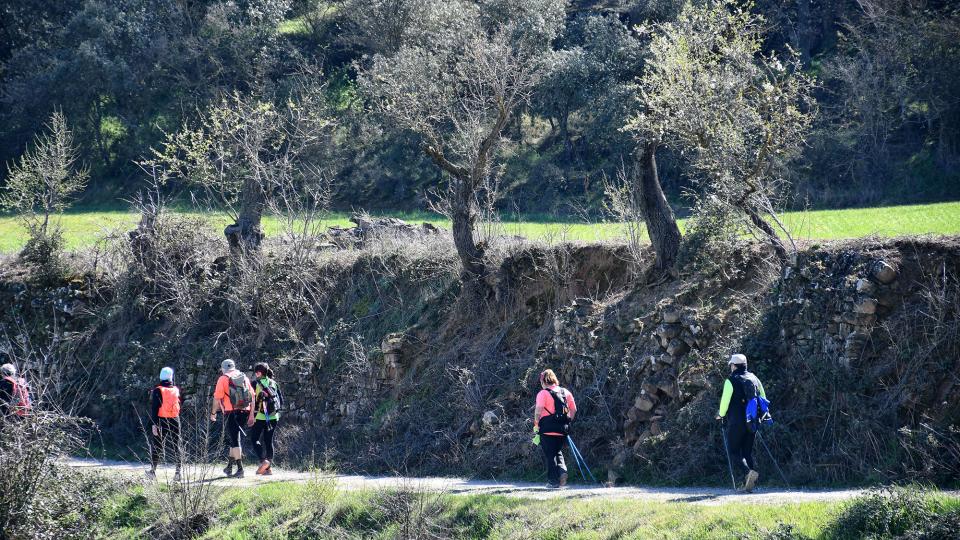 8 de Març de 2020   Guarda-si-venes -  Ramon Sunyer