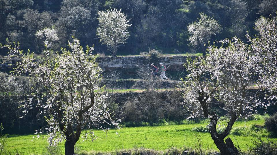 8.3.2020   Guarda-si-venes -  Ramon Sunyer