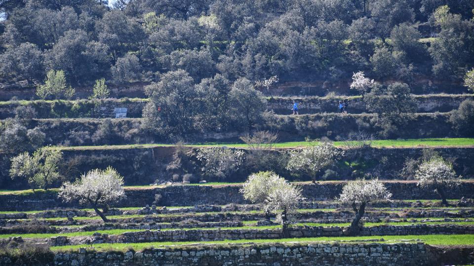 8.3.2020   Guarda-si-venes -  Ramon Sunyer