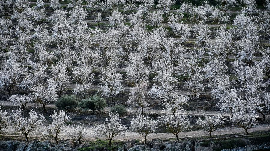 Ruta a peu de Rubinat-Font voltada-Rubinat - Autor Ramon Sunyer (2020)
