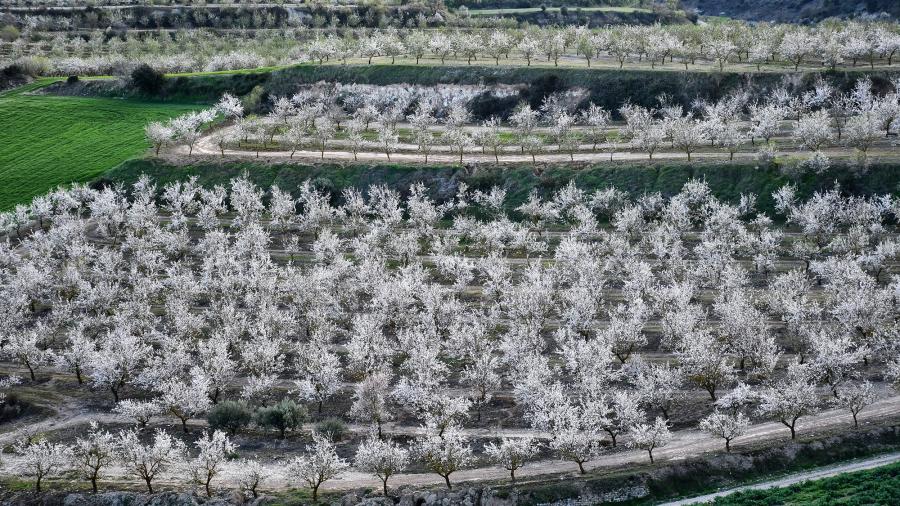 Ruta a peu de Rubinat-Font voltada-Rubinat - Autor Ramon Sunyer (2020)