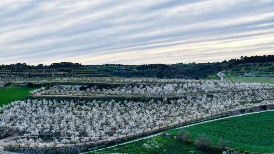 Ruta a peu de Rubinat-Font voltada-Rubinat - Autor Ramon Sunyer (2020)