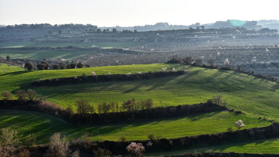 Ruta a peu de Rubinat-Font voltada-Rubinat - Autor Ramon Sunyer (2020)