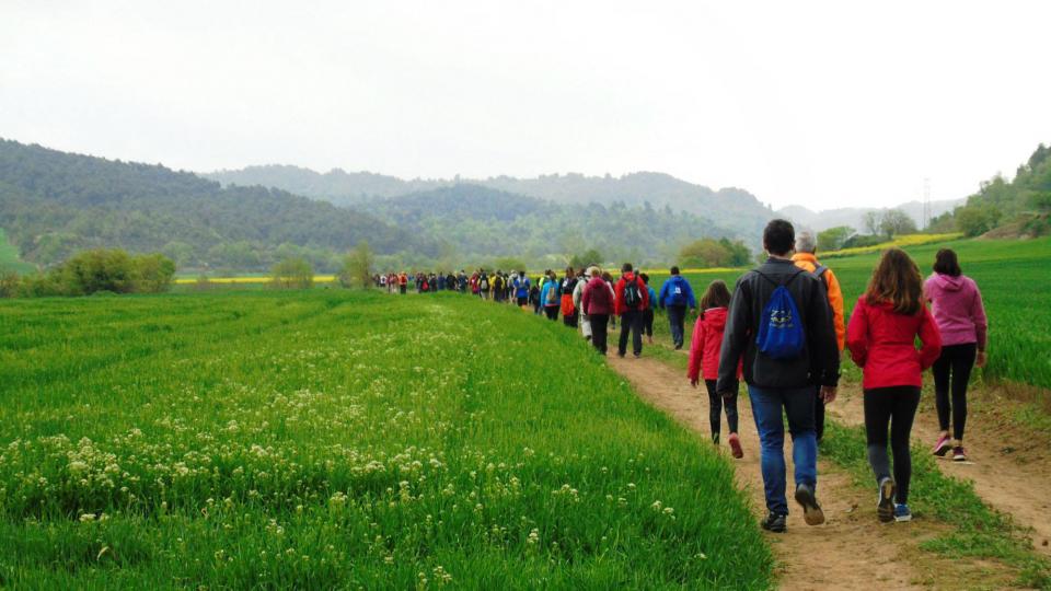 Caminada popular de de Torà - Torà