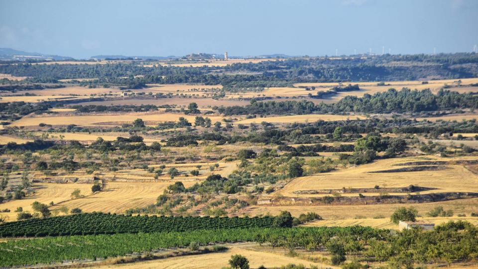 10.8.2019 La Bovera  Guimerà -  Ramon Sunyer