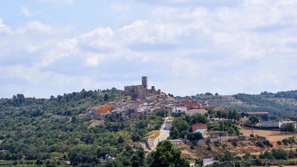 vista 11.8.2018 vista Ciutadilla - Ramon Sunyer