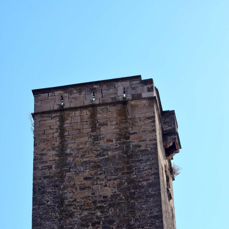 Castell 11.8.2018 Castell Ciutadilla - Ramon Sunyer